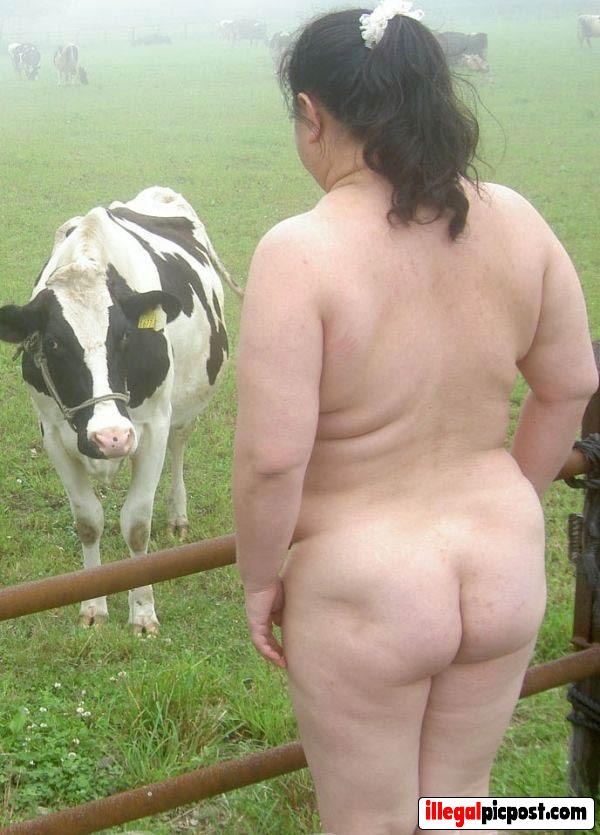 Dikke huisvrouw staat oog in oog met koe